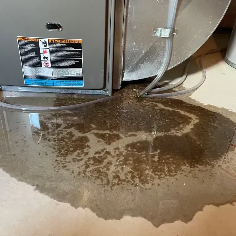 Appliance Leak Cleanup in Coon Rapids, IA